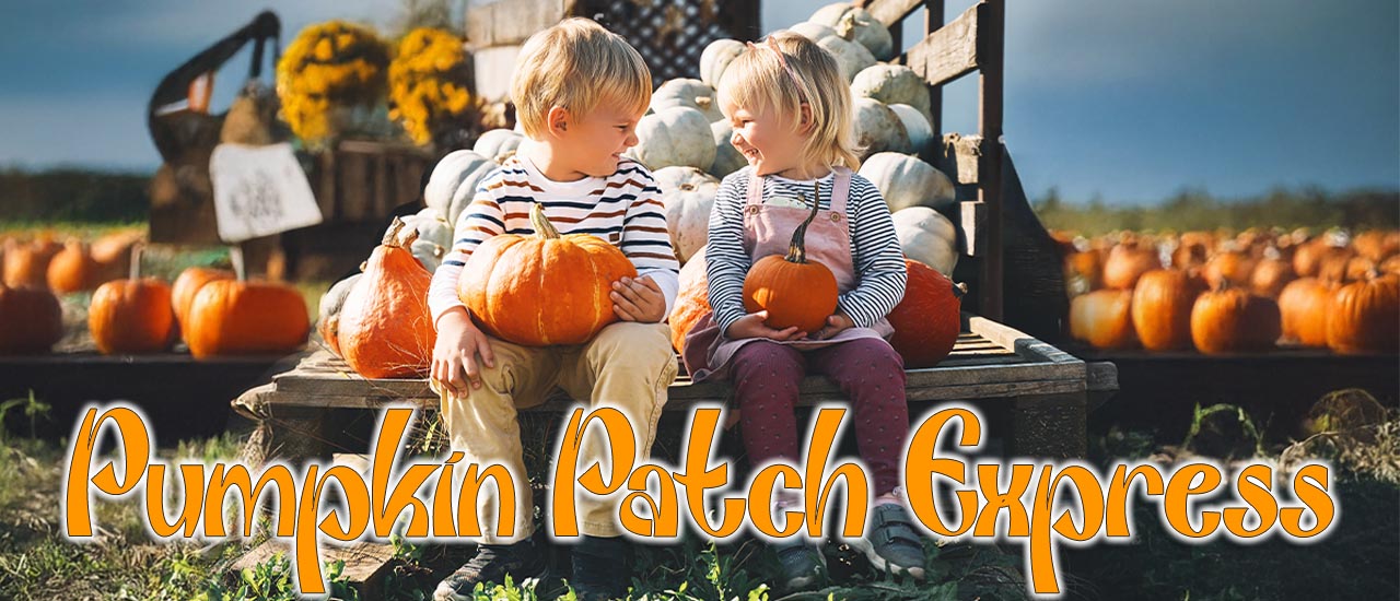 Pumpkin Patch Express