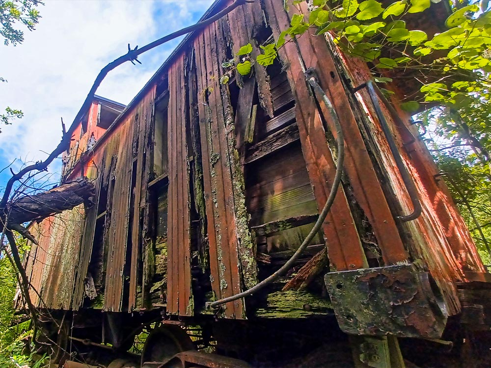 Restoration Progress - 5
